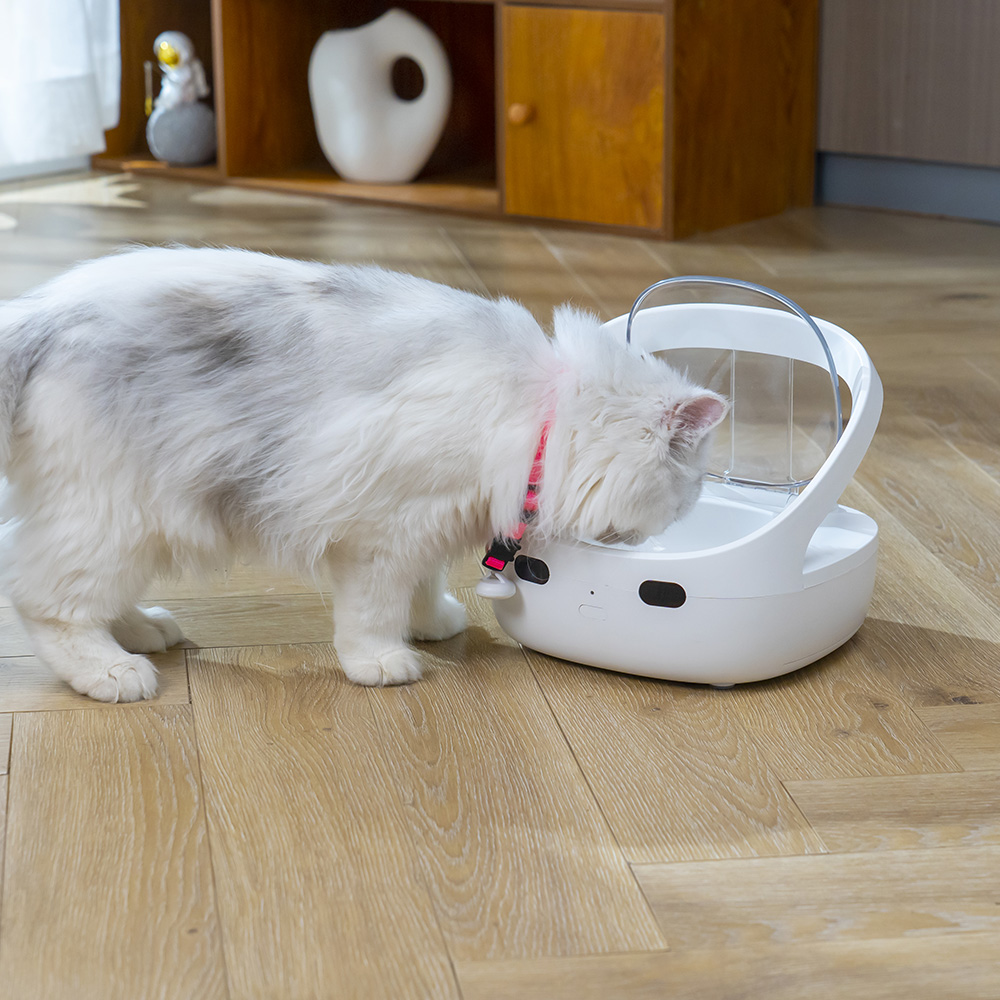 RFID smart feeder for individual feeding in multi-pet homes